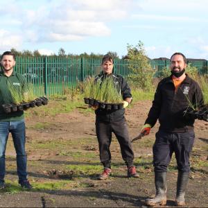 Restoration Update- Golborne High School Wetlands